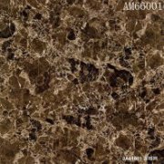 AM66001��ȾW(w��ng)